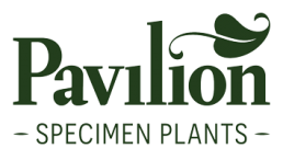 Pavilion Specimen Plants Logo